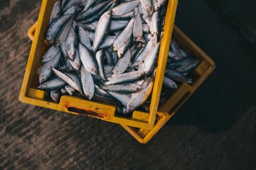 Aide pour la pêche : Modification approuvée par la Commission